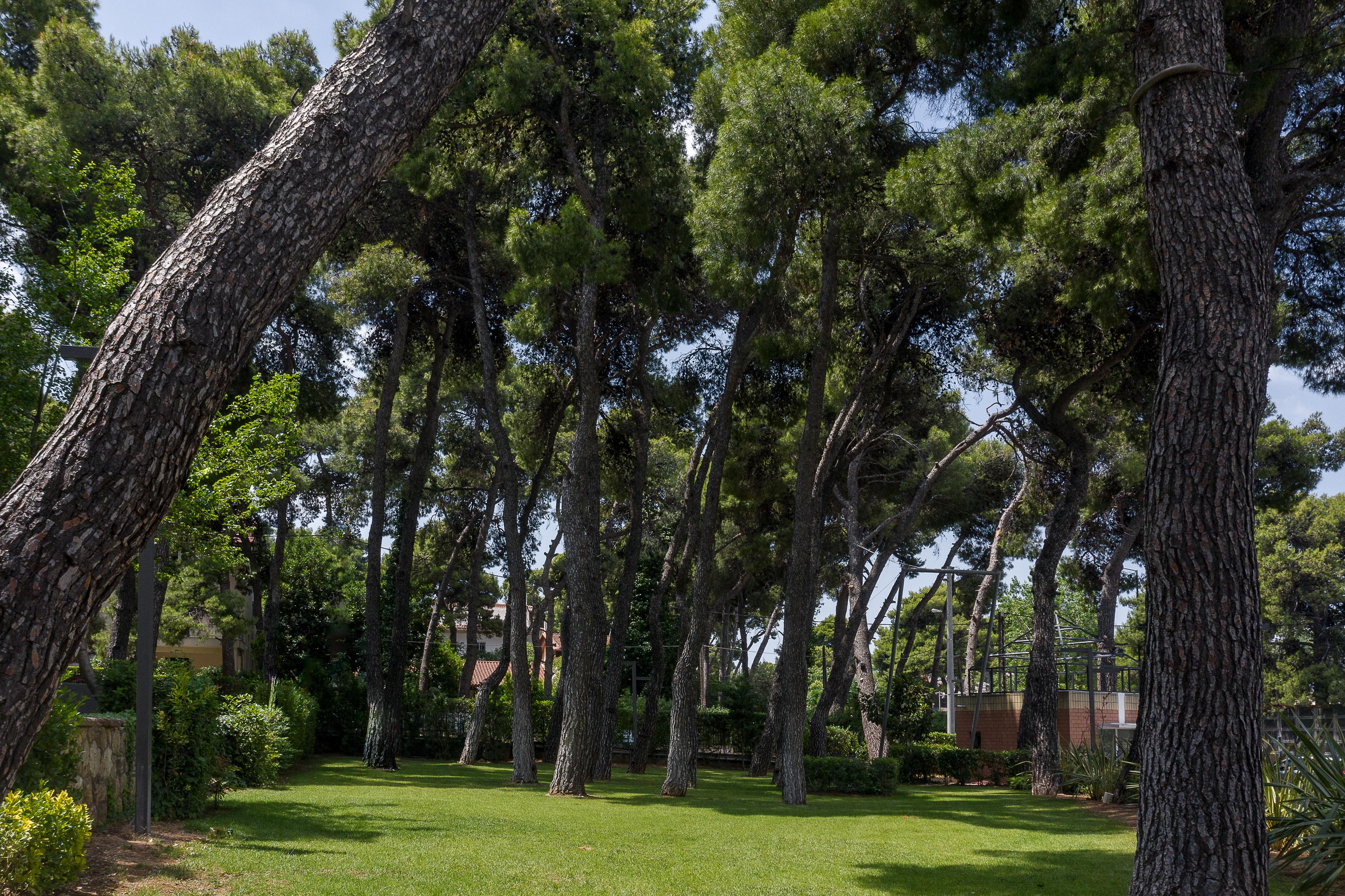 Domotel Kastri Athens Luaran gambar